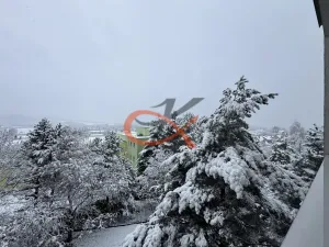 Prodej bytu 3+1, Valašské Meziříčí, Havlíčkova, 74 m2