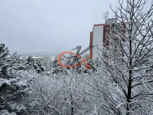 Prodej bytu 3+1, Valašské Meziříčí, Havlíčkova, 74 m2