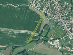 Prodej pole, Kluky, 10026 m2