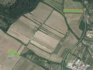 Prodej pole, Nový Šaldorf-Sedlešovice, 20168 m2