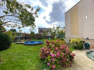 Pronájem rodinného domu, Sovínky, Sadová, 250 m2