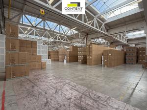 Pronájem skladu, Týniště nad Orlicí, Vrchlického, 22300 m2