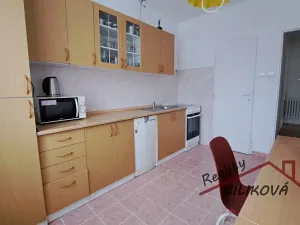 Pronájem rodinného domu, Brandýs nad Labem-Stará Boleslav, Martinovská, 90 m2