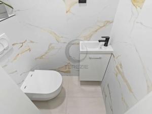 Prodej bytu 4+kk, Mladá Boleslav, mjr. Frymla, 105 m2