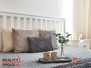 Pronájem bytu 2+1, Liberec - Liberec X-Františkov, Jáchymovská, 51 m2