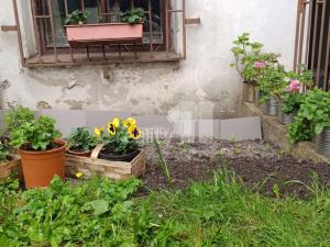 Pronájem bytu 1+kk, Česká Lípa, Jindřicha z Lipé, 29 m2