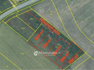 Prodej pozemku pro bydlení, Olbramovice, 4447 m2