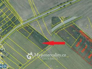 Prodej pozemku pro bydlení, Olbramovice, 4447 m2