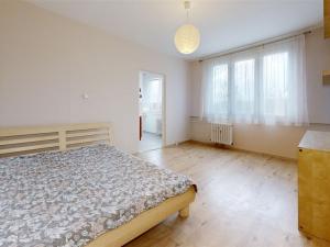 Prodej bytu 2+1, Ústí nad Labem - Severní Terasa, Svojsíkova, 50 m2