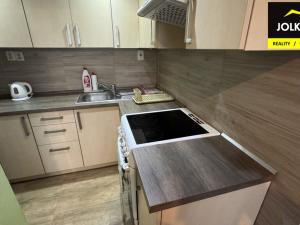 Pronájem bytu 1+1, Opava, Křižíkova, 48 m2