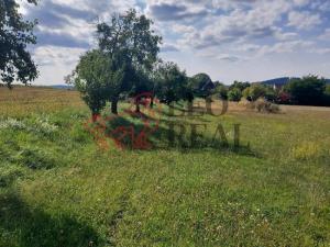 Prodej chalupy, Xaverov, 5500 m2