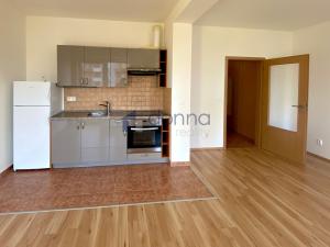 Pronájem bytu 1+kk, Praha, Federova, 36 m2