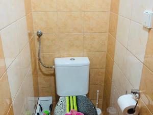 Pronájem bytu 2+1, Zaječí, Domky, 65 m2