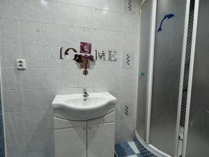 Pronájem bytu 2+1, Jirkov, K. H. Máchy, 52 m2