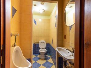 Prodej ubytování, Dolní Dvořiště - Jenín, 341 m2