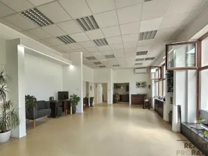 Pronájem obchodního prostoru, Hodonín, Štefánikova, 90 m2