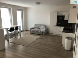 Pronájem bytu 1+kk, Plzeň - Jižní Předměstí, Kollárova, 50 m2