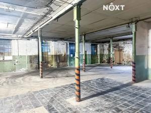 Pronájem výrobních prostor, Dětřichov, 6890 m2