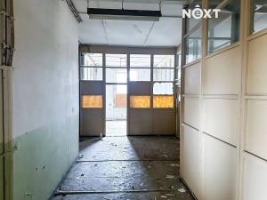 Pronájem výrobních prostor, Dětřichov, 6890 m2