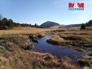 Prodej louky, Kořenov - Jizerka, 18695 m2