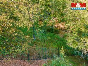 Prodej pozemku pro bydlení, Plasy, 685 m2