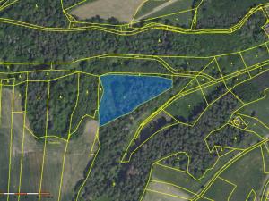 Prodej pole, Chářovice, Chářovice, 6948 m2