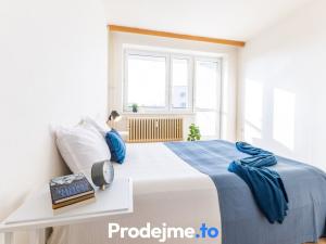 Prodej bytu 3+1, Brno - Staré Brno, Bezručova, 65 m2