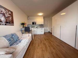 Pronájem bytu 1+kk, Praha - Třebonice, Thomasova, 32 m2