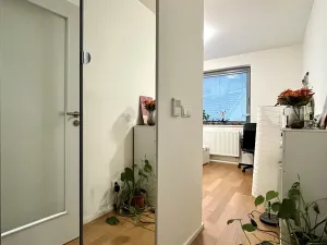 Pronájem bytu 1+kk, Brno, Mlýnská, 32 m2