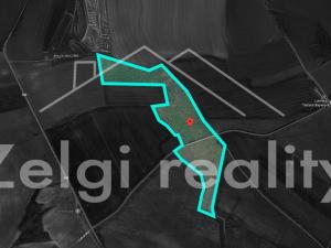 Prodej sadu/vinice, Kralupy nad Vltavou, 246558 m2