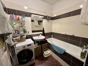 Pronájem bytu 2+kk, Brno - Žebětín, Říčanská, 43 m2