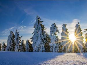Prodej bytu 3+kk, Loučná pod Klínovcem, 95 m2