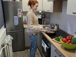 Pronájem bytu 1+kk, Příbram, Nádražní, 28 m2