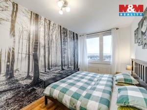 Pronájem bytu 2+kk, Mělník, Sportovní, 49 m2