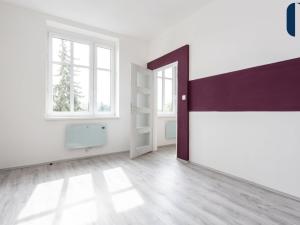 Pronájem bytu 3+kk, Praha - Libeň, Davídkova, 48 m2