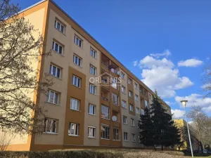 Prodej bytu 2+1, Most, Zdeňka Fibicha, 54 m2