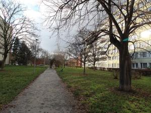 Pronájem bytu 1+kk, Praha - Karlín, Molákova, 36 m2