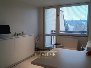 Pronájem bytu 1+kk, Teplice, Petra Jilemnického, 26 m2