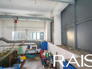 Prodej komerční nemovitosti, Brno, Zlatníky, 50 m2