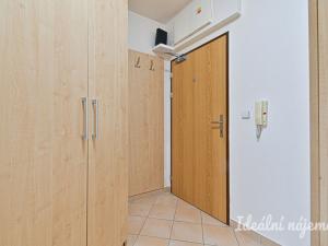 Pronájem bytu 1+kk, Brno, Sedláčkova, 32 m2