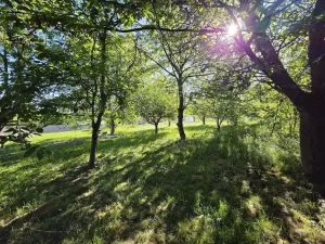Prodej pozemku pro bydlení, Plzeň, Pod Valíkem, 879 m2