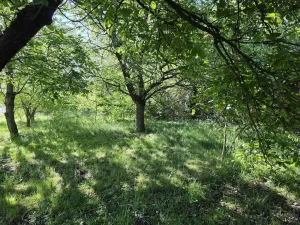 Prodej pozemku pro bydlení, Plzeň, Pod Valíkem, 879 m2