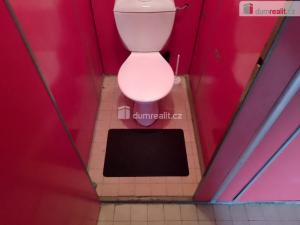 Pronájem bytu 2+1, Karlovy Vary, Přátelství, 56 m2