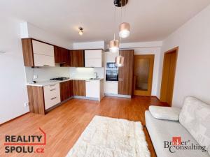 Pronájem bytu 2+kk, Přeštice, Mlýnská, 44 m2