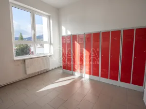 Pronájem výrobních prostor, Frenštát pod Radhoštěm, Martinská čtvrť, 966 m2