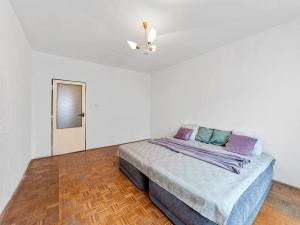 Prodej bytu 2+1, Děčín - Děčín III-Staré Město, Rakovnická, 57 m2