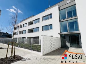 Pronájem bytu 1+kk, Ostrava, U Hájenky, 29 m2