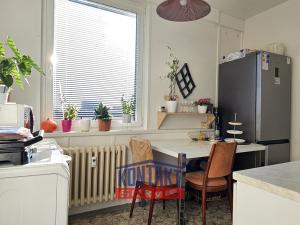 Pronájem bytu 1+1, České Budějovice, Netolická, 34 m2