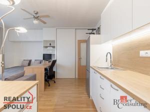 Pronájem bytu 1+kk, Brno, Říčanská, 33 m2