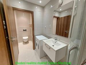 Pronájem bytu 1+kk, Praha - Žižkov, Olšanská, 33 m2